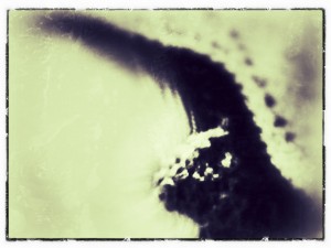 Messing around with iPad photoshop! (Copyright Corrie B)