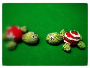 The turtles meet face-to-face (Copyright Corrie B) The turtles meet face-to-face (Copyright Corrie B)