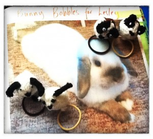 Daniel the bunny (photo) with two bunnies and two piggies (Copyright Corrie B)