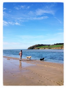Daddykins and the dogs on the beach (Copyright Corrie B) Daddykins and the dogs on the beach (Copyright Corrie B)