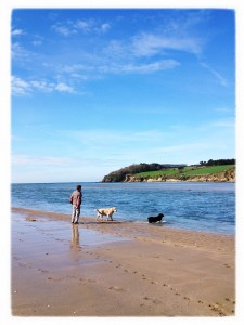 Daddykins and the dogs on the beach (Copyright Corrie B)