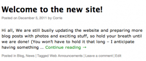 First Post on www.plutoniummuffins.com First Post on www.plutoniummuffins.com