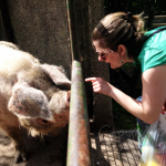 Playing with a piggy