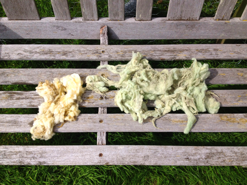 The left-hand one done this morning, right-hand the one I dyed last night "Here's one I did earlier" The left-hand one done this morning, right-hand the one I dyed last night "Here's one I did earlier"