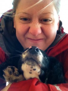 Puppy Springer Spaniel. A bad photo, sorry! Puppy Springer Spaniel. A bad photo, sorry!