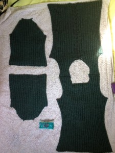 Pinned out and drying. Pinned out and drying.