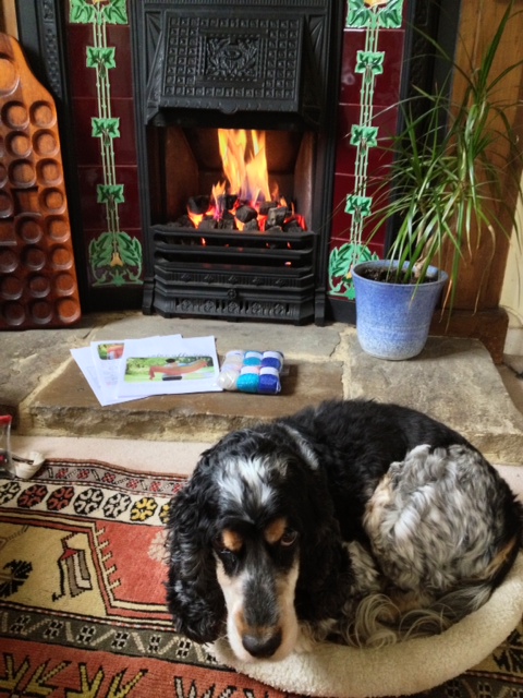Tommy hanging out with me in front of the fire. Tommy hanging out with me in front of the fire.