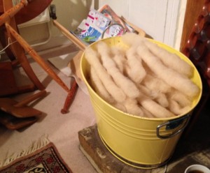 A huge bucket full of rolags, to be spun in March.