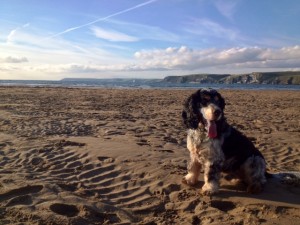We've arrived! Hurrah, beach! We've arrived! Hurrah, beach!