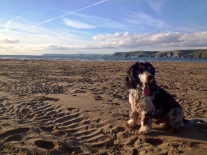 We've arrived! Hurrah, beach!