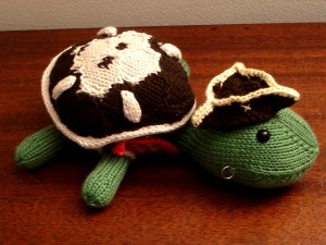 Pirate Sheldon Pirate Sheldon