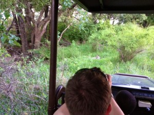 BRO taking photos of the leopard's mummy.