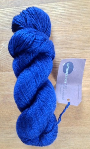 Shiny shiny blue sock yarn.