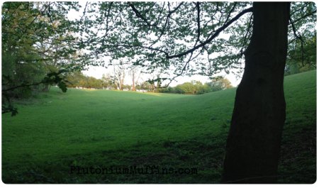 A field that we've seen in other seasons.