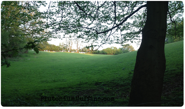 A field that we've seen in other seasons.