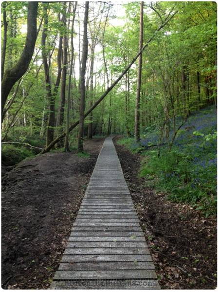 The next walkway along. I love the vertical lines in this photo.