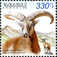 Armenian Mouflon (or Iranian Red Sheep) on a stamp.