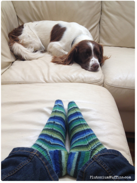 Boyfriend socks with Alfie in the background.