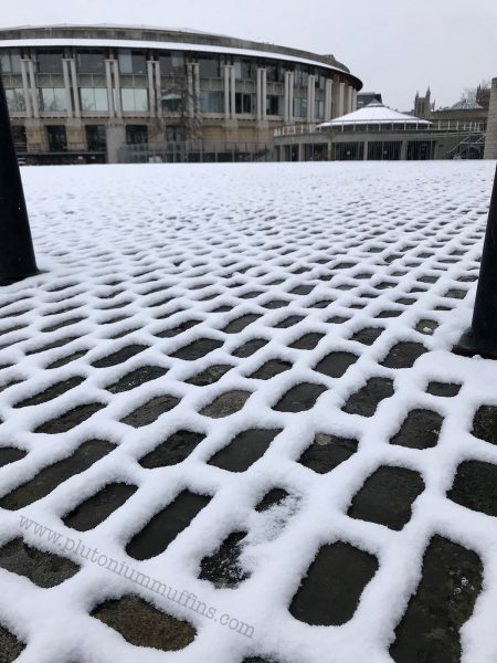 Frozen (or not so much) bricks on Hannover Quay.