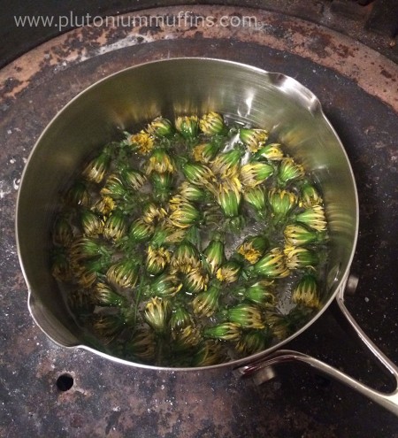 Cooking up my dandelions.