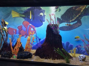 A "Finding Nemo" tank with the relevant fish!