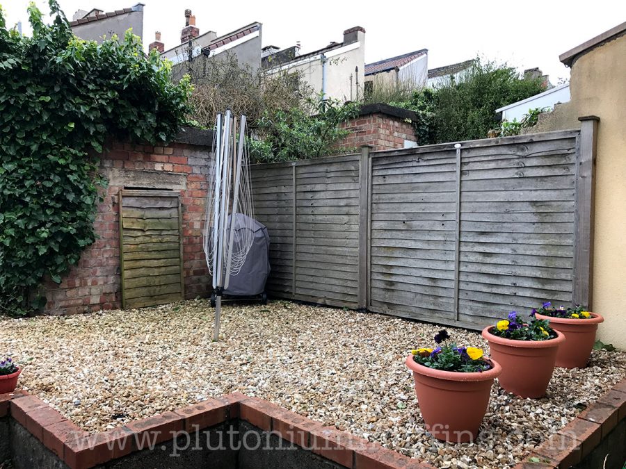 The rest of the garden - now I just need a bench and I'll have the best place to sit and knit!