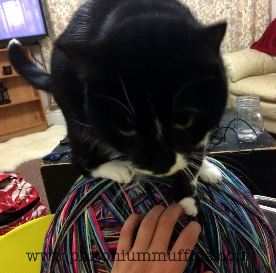 Tonks loves yarn.