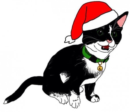 Meowy Christmas from Plutonium Muffins HQ!