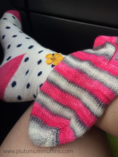 Knitting in the car at a folk festival.