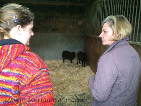 Me and mum talking about the two little babies in the stable.