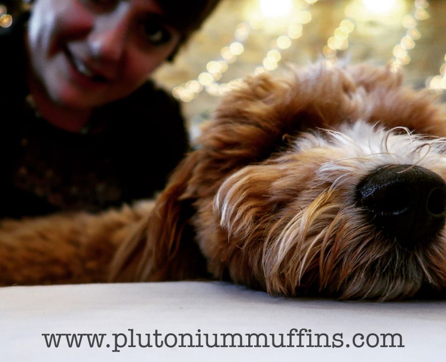 Me with little Porridge, the cavapoochon puppy.