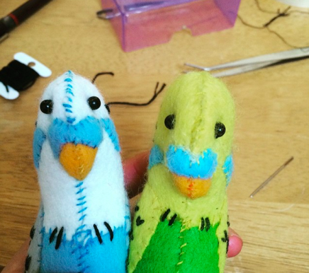 Pair of little budgies.
