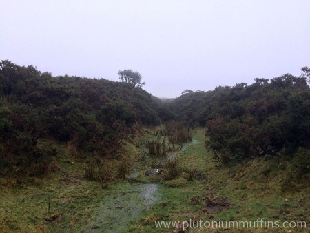 A stream carving out its own little valley as it travels south.