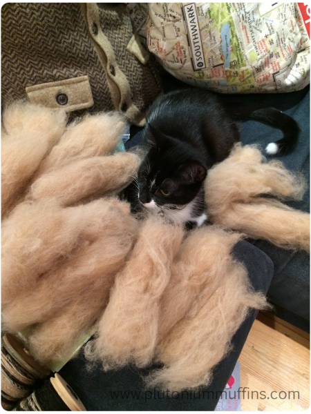 Tonks is really loving the alpaca fibre! I want to make her a bed of alpaca fibre so she can stop playing with mine!