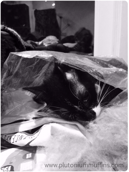 Tonks in a bag - phone filter still on mono thanks to colour theory!