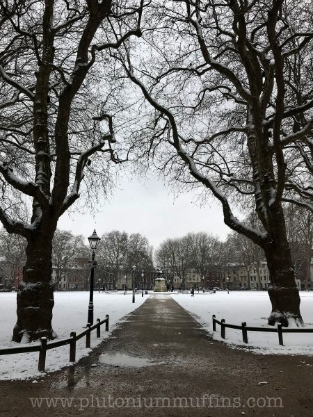 Walkway up to the centre of Queen Square.