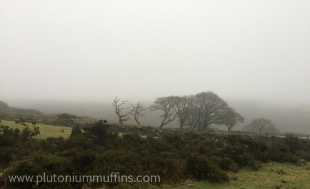 Trees on a wall - check out the shapes of the dead one on the left!