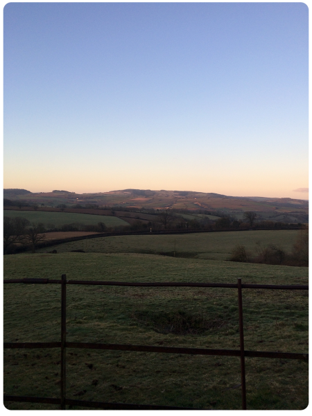 View out from the garden of the manor.